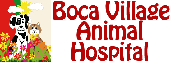 Boca Village Animal Hospital